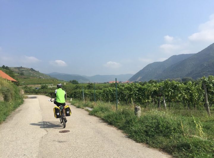 Looking Back at the&nbsp;Danube