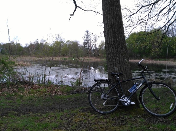A Dewy Sunday Ride on the Minuteman&nbsp;Trail