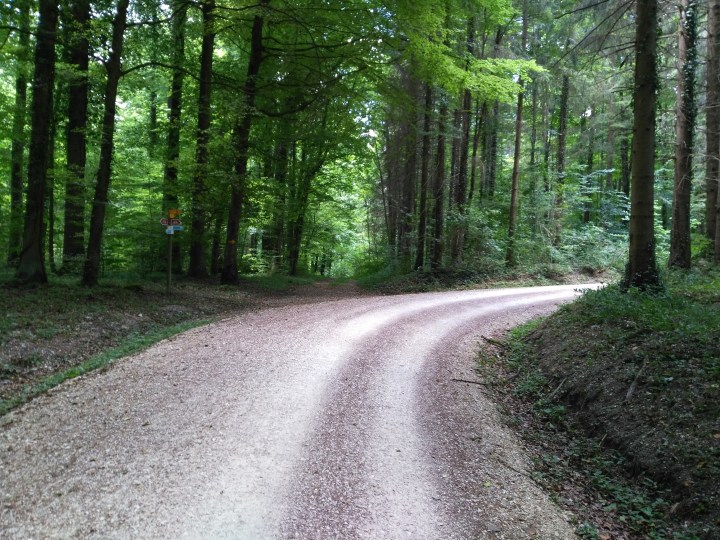 Who knew there were so many hills in&nbsp;Switzerland?